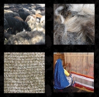 Sheep Wool and its products